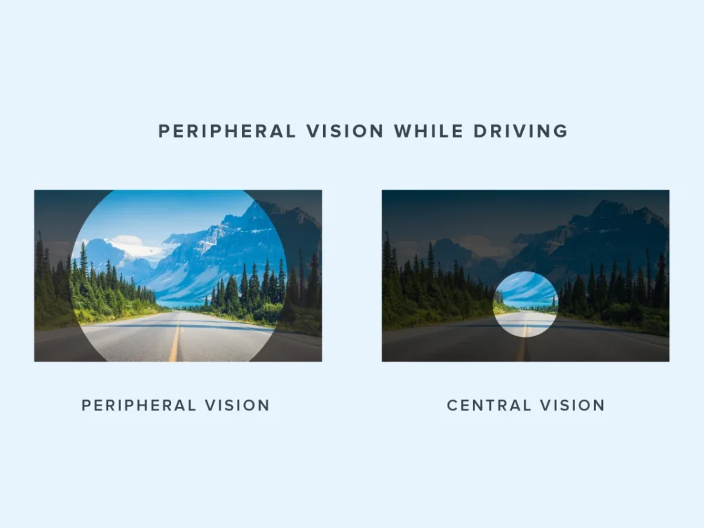 Peripheral Vision