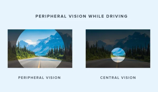 Peripheral Vision